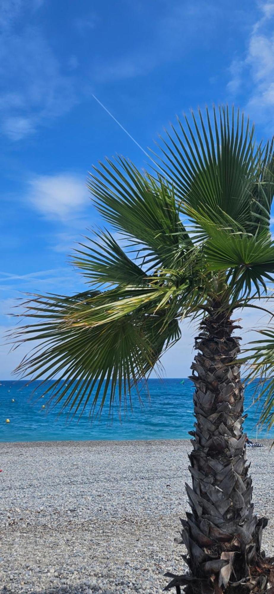 Studio Saint-Laurent-Du-Var Bord De Mer Bagian luar foto